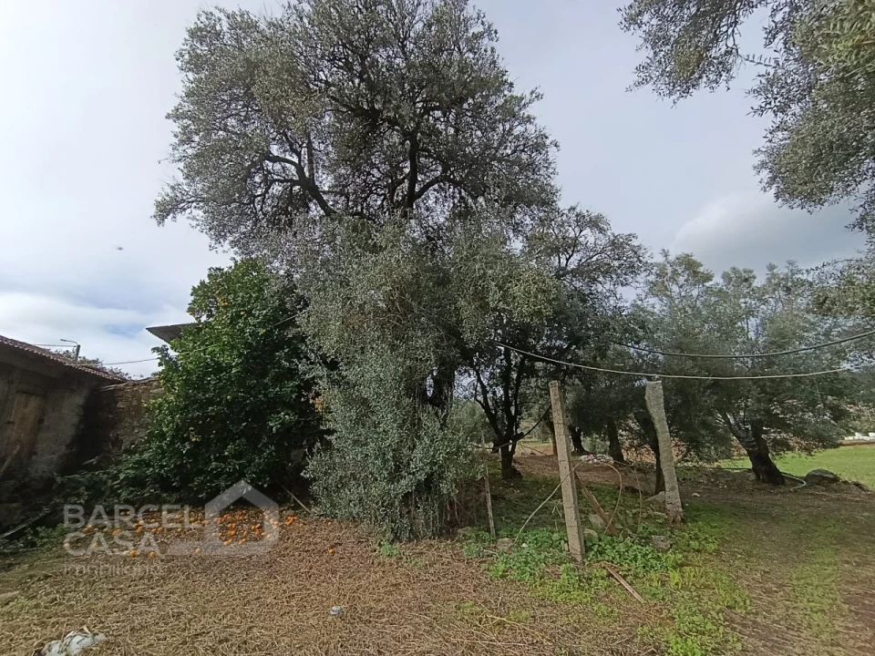 Moradia T4 para Venda em Alheira e Igreja Nova Foto 17