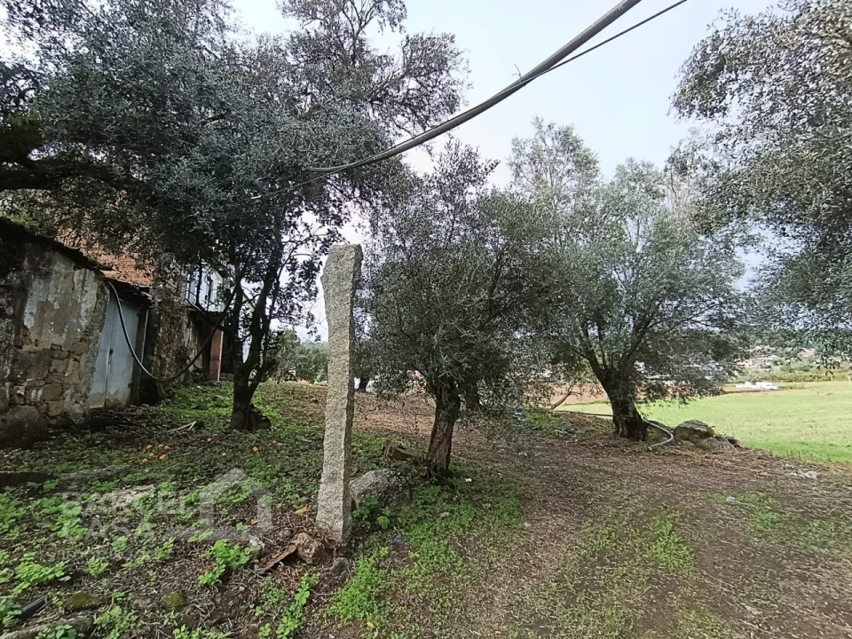 Moradia T4 para Venda em Alheira e Igreja Nova Foto 18