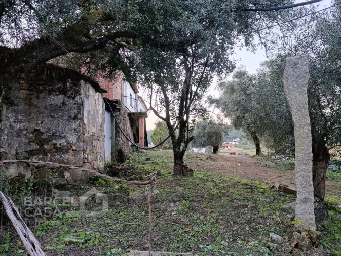 Moradia T4 para Venda em Alheira e Igreja Nova Foto 11