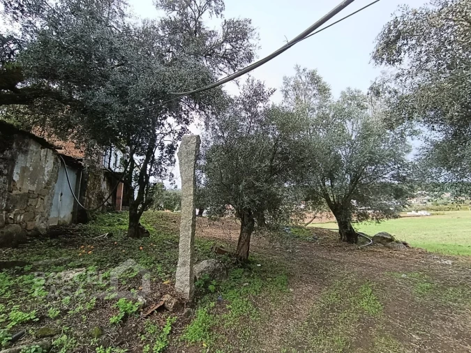 Moradia T4 para Venda em Alheira e Igreja Nova Foto 18