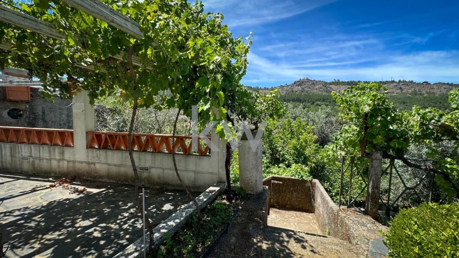 Moradia T7 para Venda em Santiago Maior Foto 22