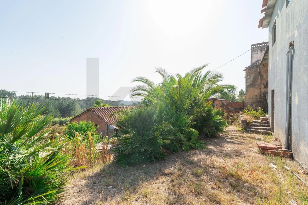 Moradia T3 para Venda em Samuel Foto 16