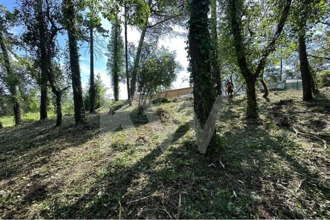 Terreno para Venda em Eiras e São Paulo de Frades Foto 20