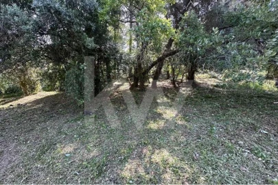 Terreno para Venda em Eiras e São Paulo de Frades