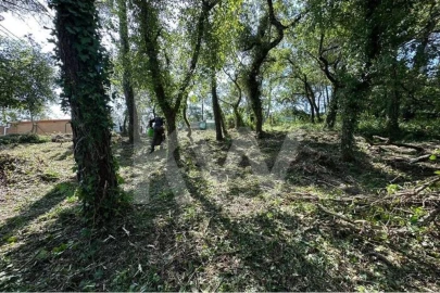 Terreno para Venda em Eiras e São Paulo de Frades