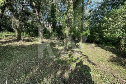 Terreno para Venda em Eiras e São Paulo de Frades