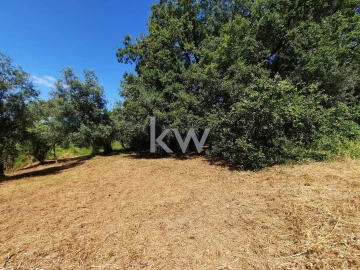 Terreno para Venda em Eiras e São Paulo de Frades