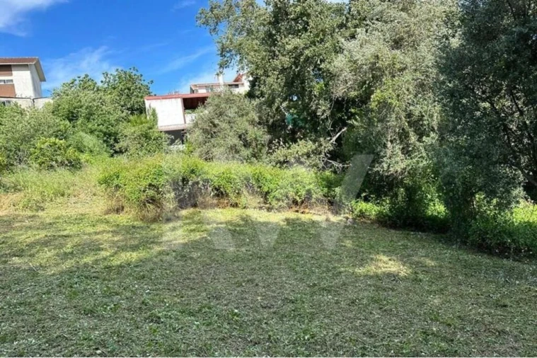 Terreno para Venda em Eiras e São Paulo de Frades Foto 17