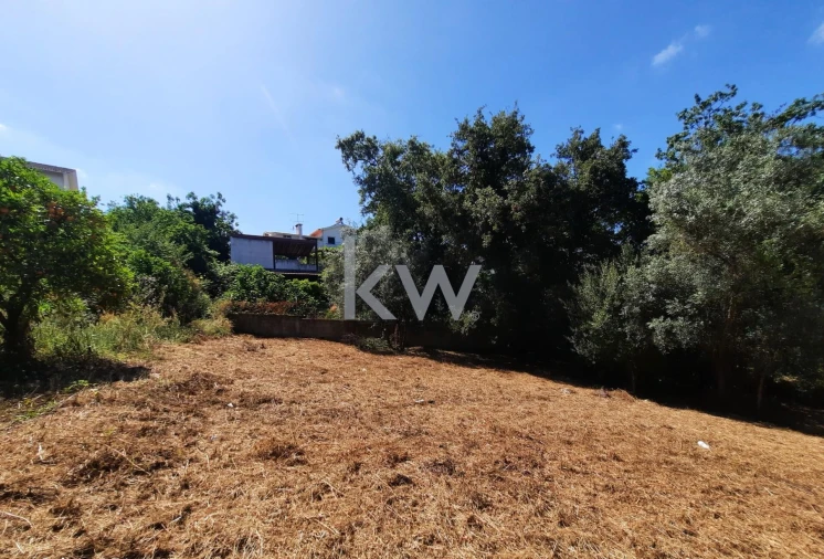 Terreno para Venda em Eiras e São Paulo de Frades Foto 14