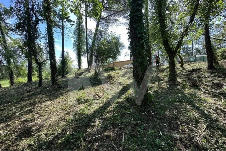 Terreno para Venda em Eiras e São Paulo de Frades Foto 20