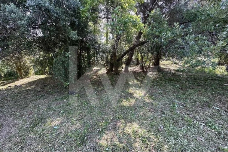 Terreno para Venda em Eiras e São Paulo de Frades Foto 18