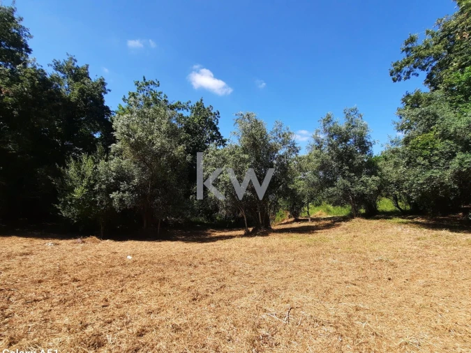 Terreno para Venda em Eiras e São Paulo de Frades Foto 12