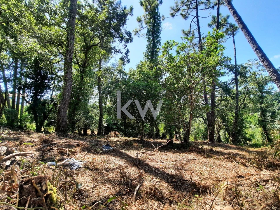 Terreno para Venda em Eiras e São Paulo de Frades Foto 15