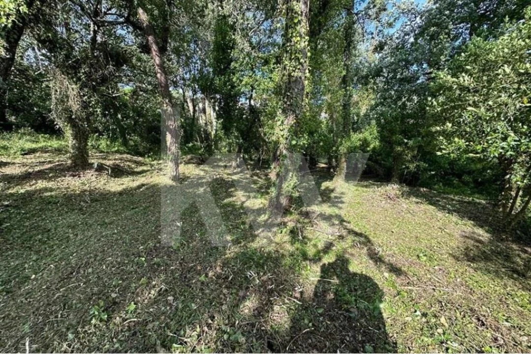 Terreno para Venda em Eiras e São Paulo de Frades Foto 21