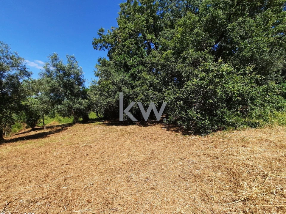 Terreno para Venda em Eiras e São Paulo de Frades Foto 13