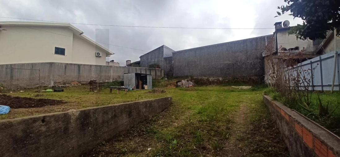 Terreno para Venda em Cesar Foto 3