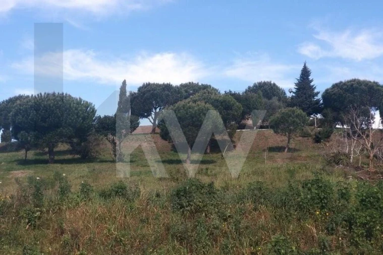 Terreno para Venda em Mina de Água Foto 1