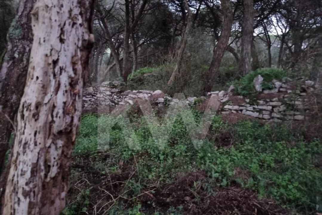 Terreno para Venda em Santa Maria e São Miguel, São Martinho, São Pedro Penaferrim Foto 4