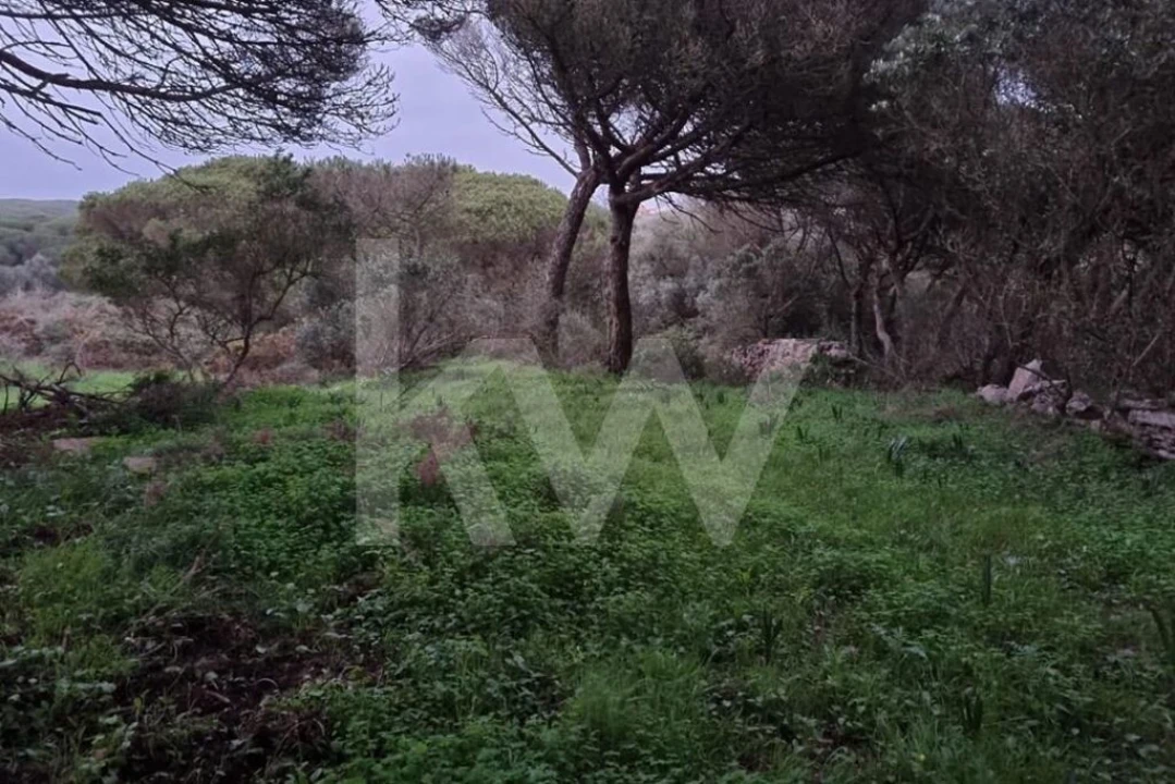 Terreno para Venda em Santa Maria e São Miguel, São Martinho, São Pedro Penaferrim Foto 2