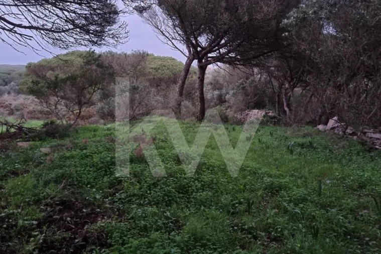 Terreno para Venda em Santa Maria e São Miguel, São Martinho, São Pedro Penaferrim Foto 2