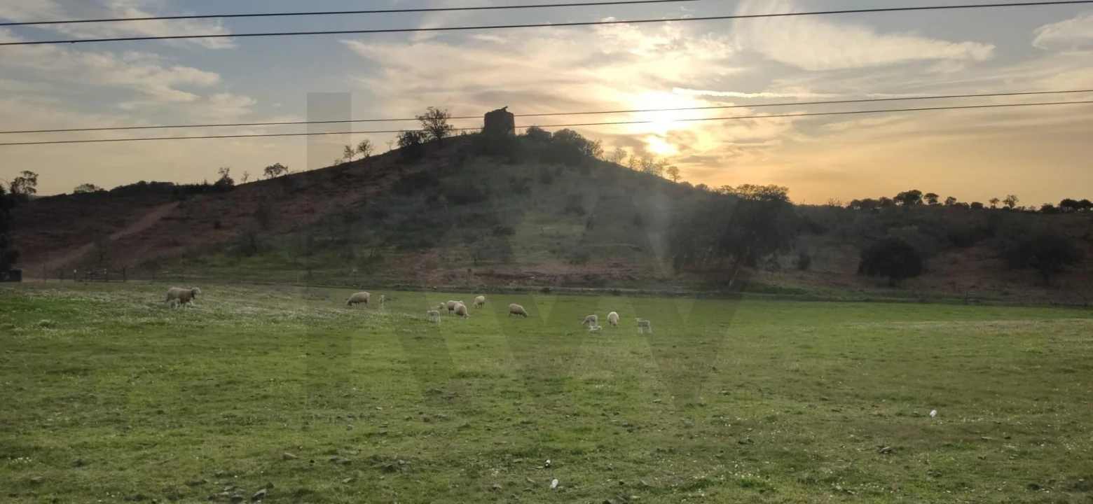 Moradia T2 para Venda em Martim Longo Foto 24