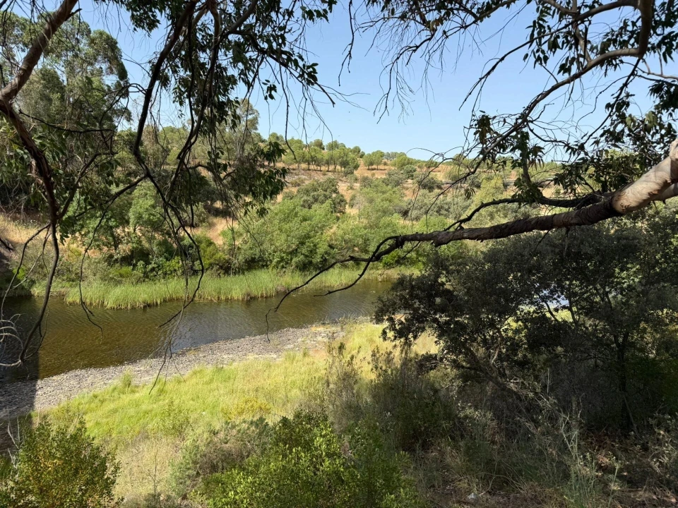 Moradia T2 para Venda em Martim Longo Foto 23