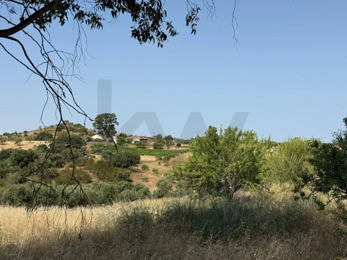 Moradia T2 para Venda em Martim Longo Foto 26