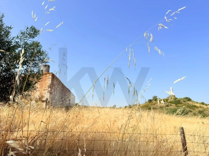 Moradia T2 para Venda em Martim Longo Foto 15