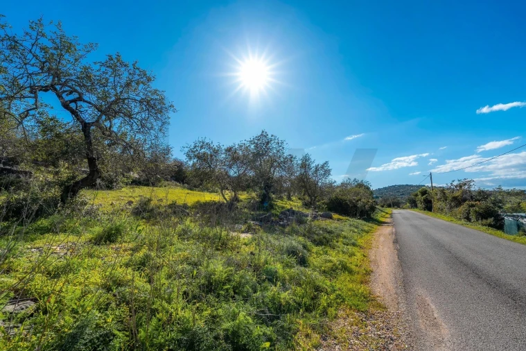 Terreno para Venda em Conceição e Estoi Foto 8