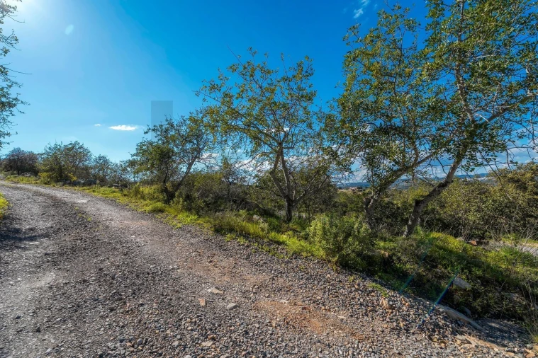Terreno para Venda em Conceição e Estoi Foto 6