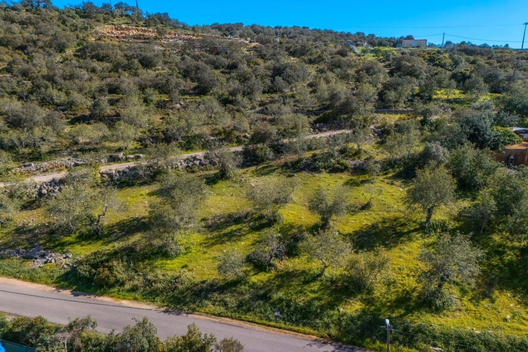 Terreno para Venda em Conceição e Estoi Foto 11
