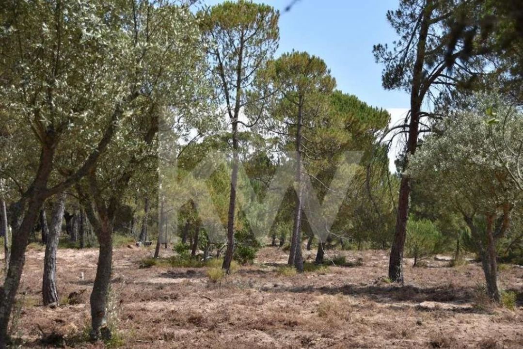 Terreno para Venda em Melides Foto 28