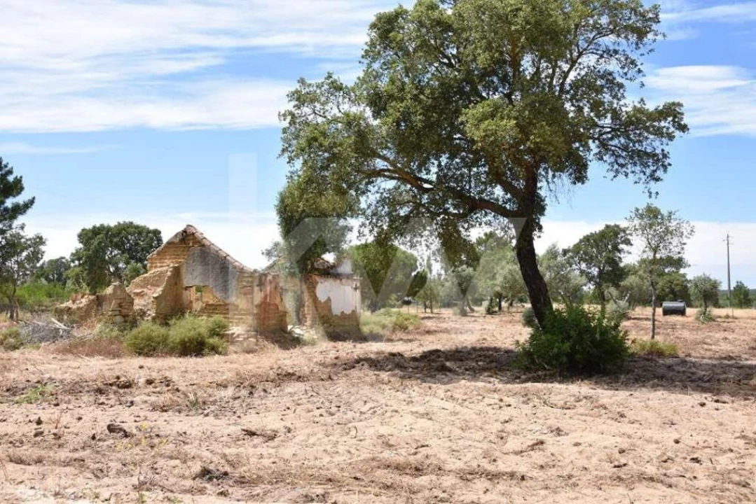 Terreno para Venda em Melides Foto 12