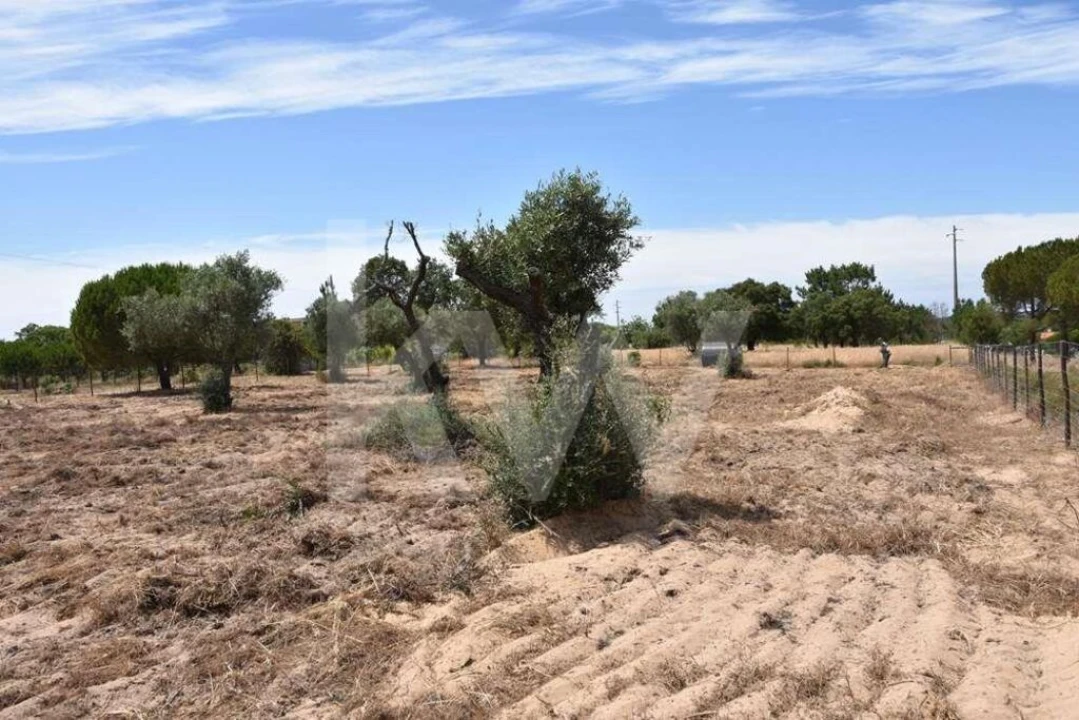 Terreno para Venda em Melides Foto 21