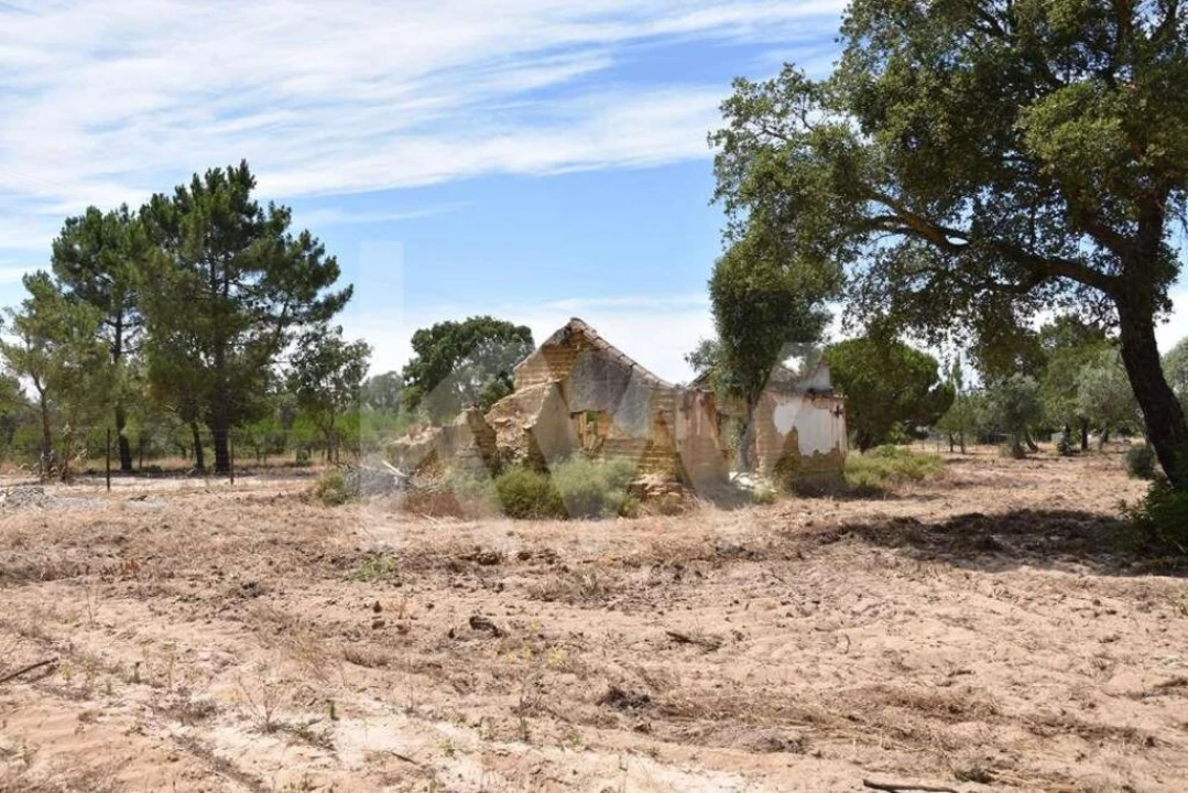 Terreno para Venda em Melides Foto 6