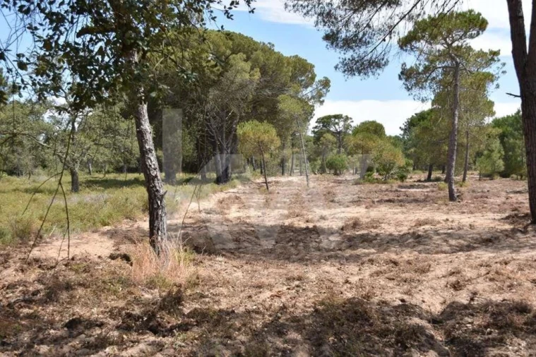 Terreno para Venda em Melides Foto 25