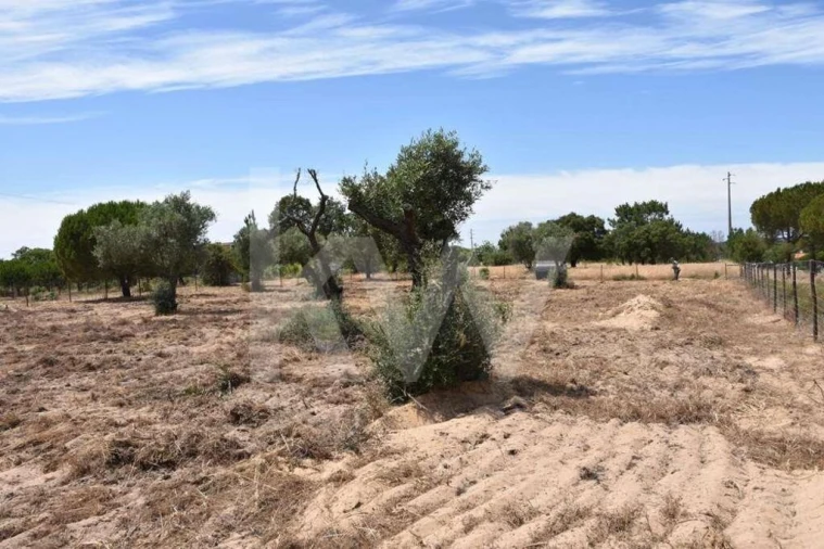 Terreno para Venda em Melides Foto 21