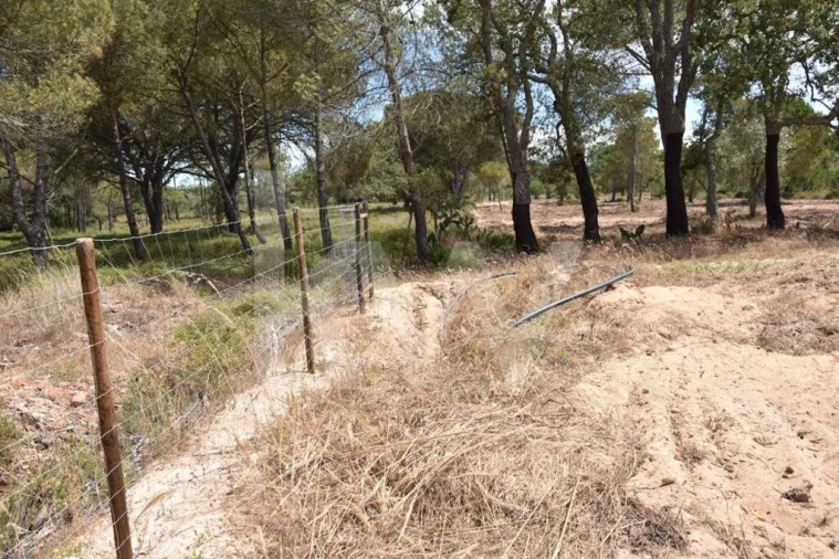 Terreno para Venda em Melides Foto 19