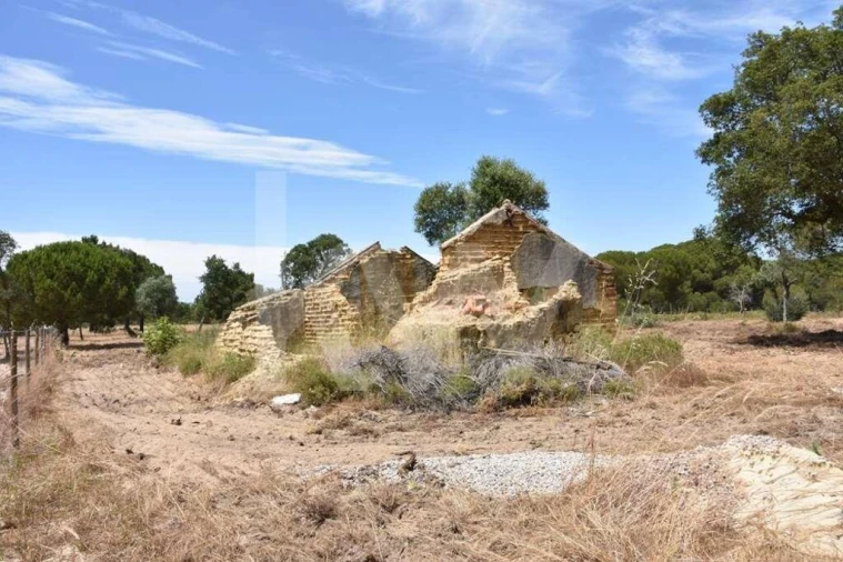 Terreno para Venda em Melides Foto 13