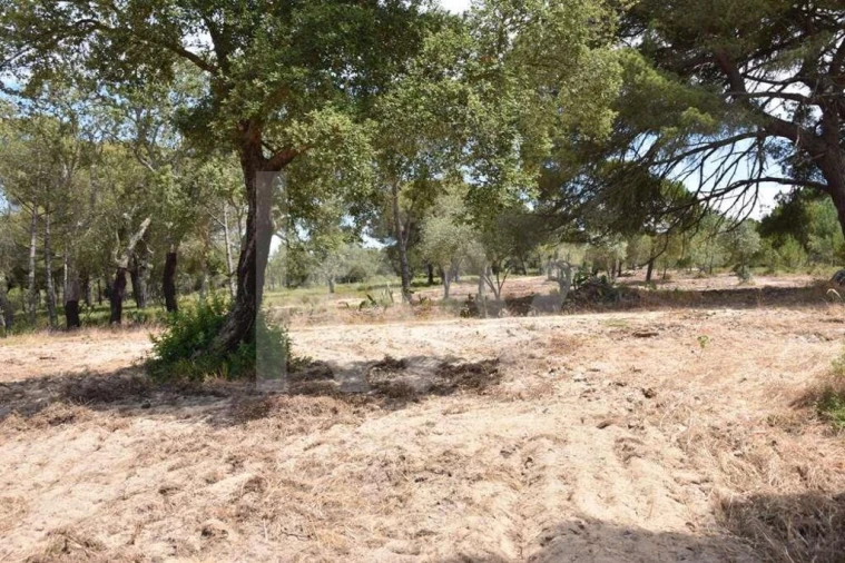 Terreno para Venda em Melides Foto 18