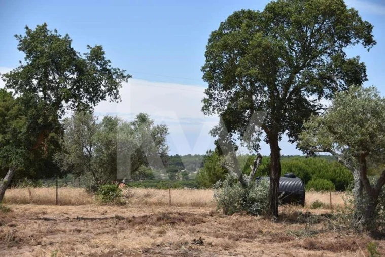 Terreno para Venda em Melides Foto 15