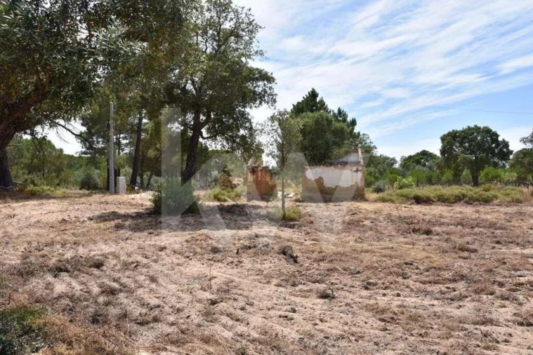 Terreno para Venda em Melides Foto 20
