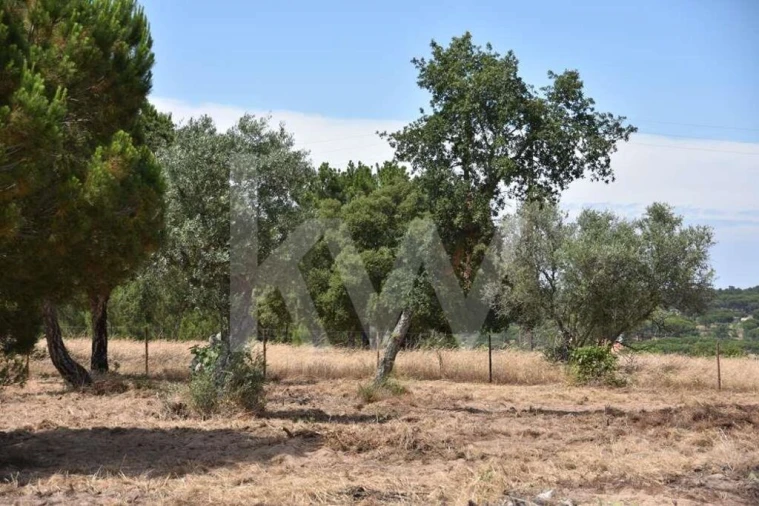 Terreno para Venda em Melides Foto 16