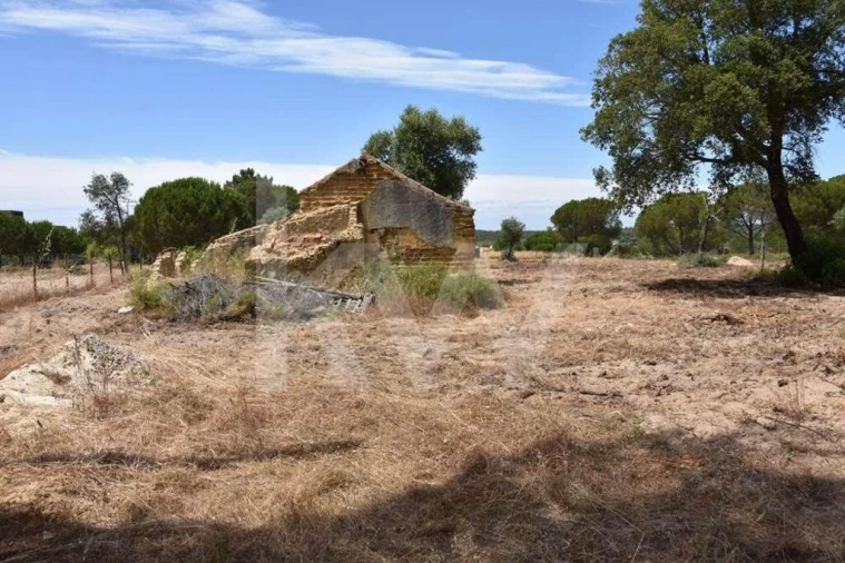 Terreno para Venda em Melides Foto 3