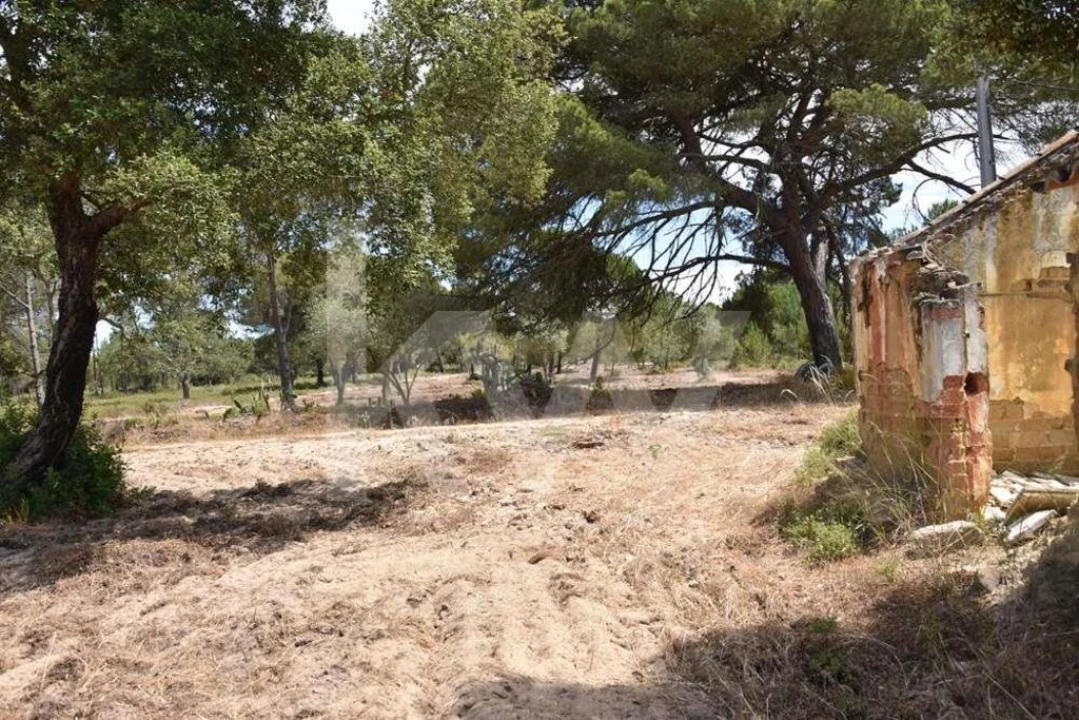 Terreno para Venda em Melides Foto 17