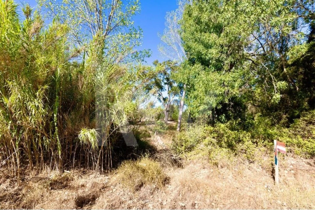 Terreno para Venda em Grândola e Santa Margarida da Serra Foto 8