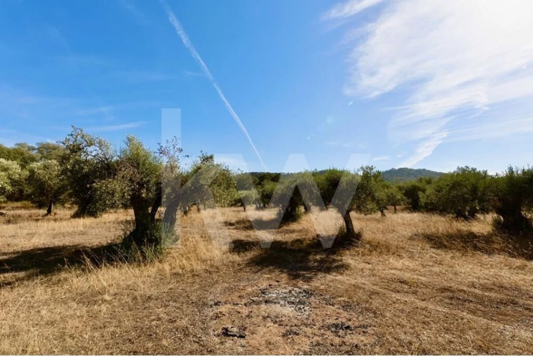 Terreno para Venda em Grândola e Santa Margarida da Serra Foto 15