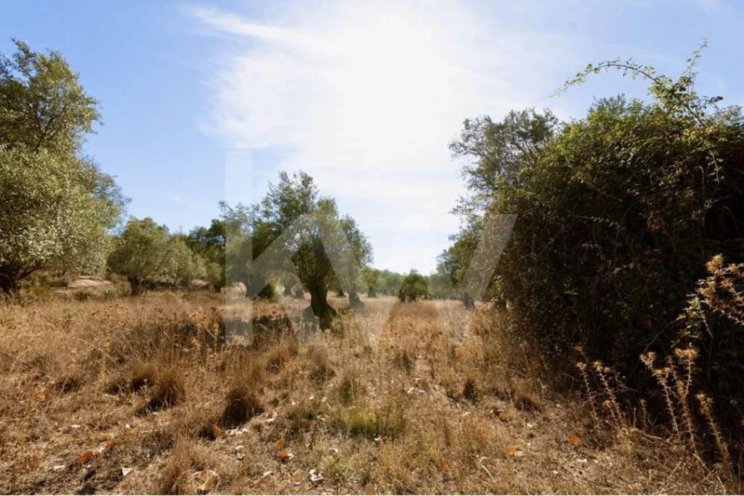 Terreno para Venda em Grândola e Santa Margarida da Serra Foto 13