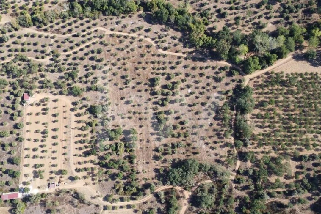 Terreno para Venda em Grândola e Santa Margarida da Serra Foto 20