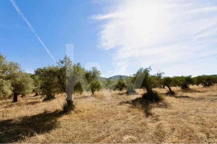 Terreno para Venda em Grândola e Santa Margarida da Serra Foto 6